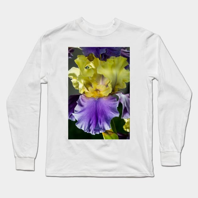 Garden Iris 2 Long Sleeve T-Shirt by Robert Alsop